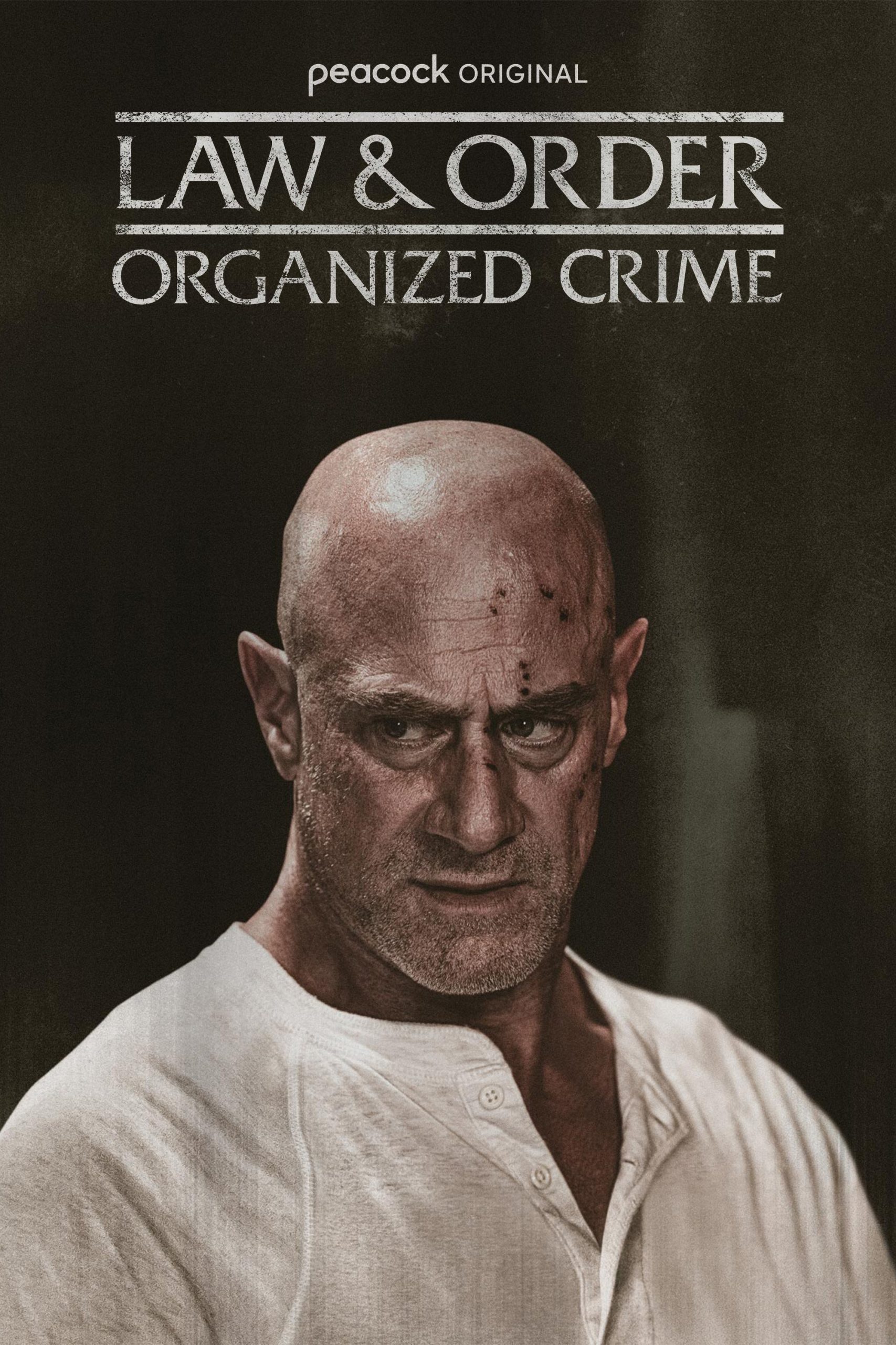 مسلسل Law & Order: Organized Crime الموسم 5 الحلقة 1